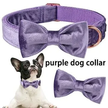 ARING PET Bowtie Dog Collar-Velvet Dog Collars with Removable Bowtie, Cute &Comfortable Purple Dog C...