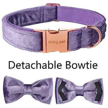 ARING PET Bowtie Dog Collar-Velvet Dog Collars with Removable Bowtie, Cute &Comfortable Purple Dog Collar,Medium.