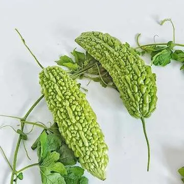 50+ Bitter Melon Seeds for Home Gardening and Health
