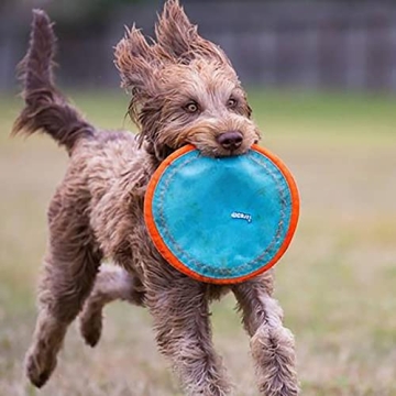 Chuckit! Paraflight Flying Disc for Dogs - Durable Fun Sync