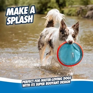 Chuckit! Paraflight Flying Disc for Dogs - Durable Fun Sync