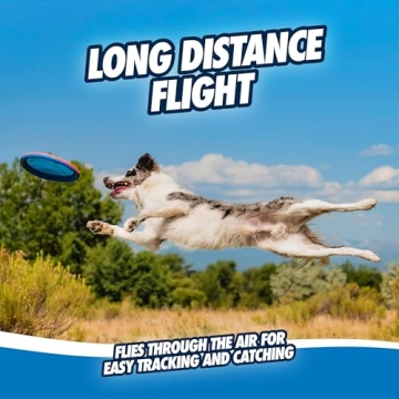 Chuckit! Paraflight Flying Disc for Dogs - Durable Fun Sync
