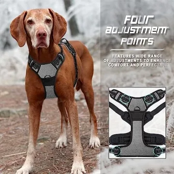 BARKBAY No Pull Dog Harness for Large Dogs with Handle