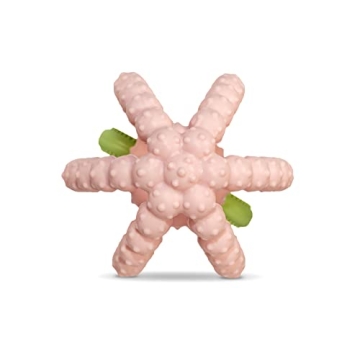 RaZbaby Silicone BerryBumps Teether for Soothing Baby Gums