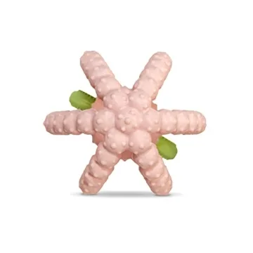 RaZbaby Silicone BerryBumps Teether for Soothing Baby Gums