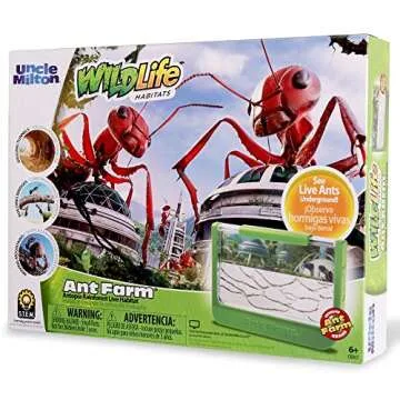 Uncle Milton Antopia Rainforest Ant Habitat - STEM Learning Toy