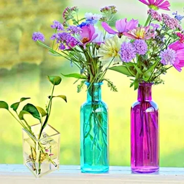 Clear Acrylic Desktop Organizer for Makeup and Office Supplies