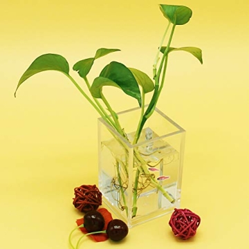 Clear Acrylic Desktop Organizer for Makeup and Office Supplies