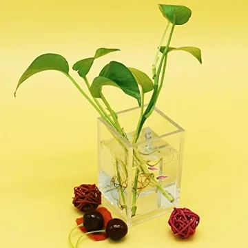 Clear Acrylic Desktop Organizer for Makeup and Office Supplies