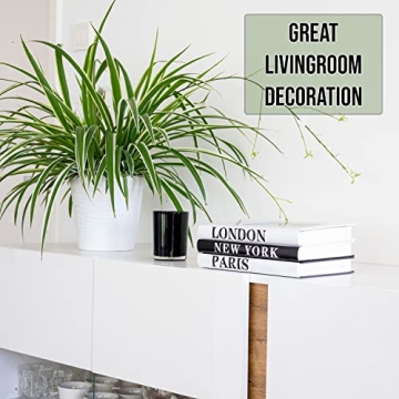 Waveest Decorative Books - Stylish Faux Books for Home Decor