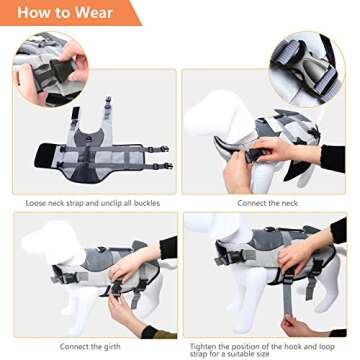 ASENKU Dog Shark Life Jacket for Safe Swimming Fun