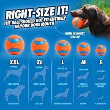 Chuckit Classic 26M Launcher: Effortless Fetch Fun for Dogs