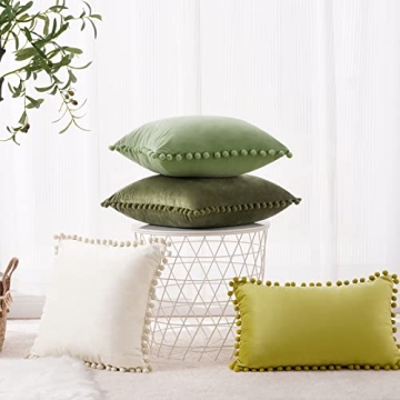 Top Finel Soft Velvet Decorative Pillow Covers Set of 2