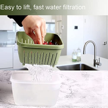 Shopwithgreen Berry Keeper Boxes - Leak-Proof Food Storage Containers