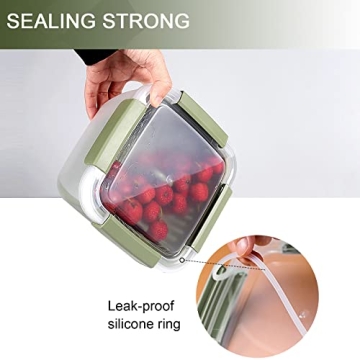 Shopwithgreen Berry Keeper Boxes - Leak-Proof Food Storage Containers