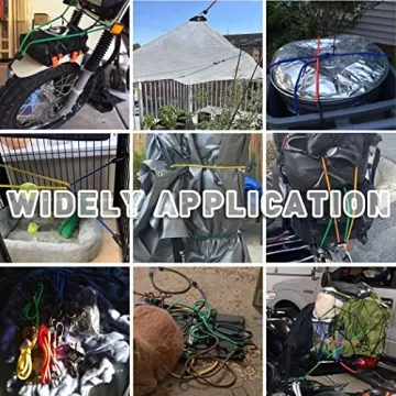 Cartman 32 Piece Bungee Cords Assortment Secure Bundling