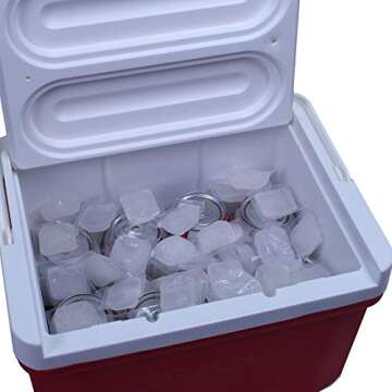 Cooler Cubes Bag of Ice - Reusable Refreezable Eco Friendly Ice Cubes