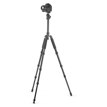 Amazon Basics Lightweight Tripod & Monopod for Travel