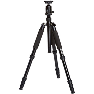 Amazon Basics Lightweight Tripod & Monopod for Travel