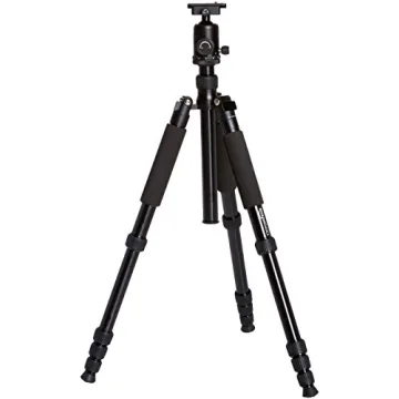 Amazon Basics Lightweight Tripod & Monopod for Travel