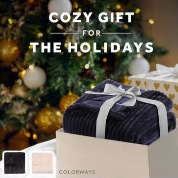 Sunbeam Heated Personal Throw Blanket - Soft and Warm