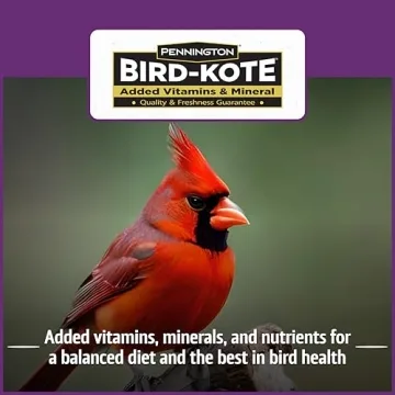 Premium Wild Bird Seed with Nut & Fruit Blend for Songbirds