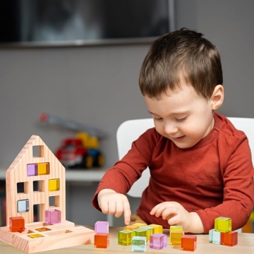 Woodtoe Building Blocks Set - 24 Gem Cubes for Kids