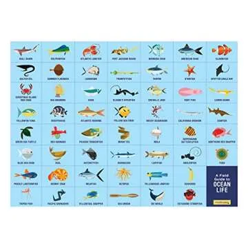 Ocean Life Search & Find Puzzle