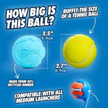Chuckit! Rebounce Ball Dog Toy - Bouncy Fetch Balls for Dogs 20-60 lbs - Made from Durable Rubber - Outdoor Pet Toys - Size Medium - 2.5-inch Diameter - Pack of 2 - Blue