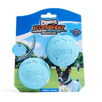 Chuckit! Rebounce Ball Dog Toy - Bouncy Fetch Balls for Dogs 20-60 lbs - Made from Durable Rubber - Outdoor Pet Toys - Size Medium - 2.5-inch Diameter - Pack of 2 - Blue