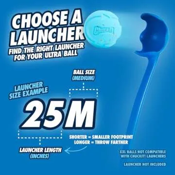 Chuckit! Rebounce Ball Dog Toy - Bouncy Fetch Balls for Dogs 20-60 lbs - Made from Durable Rubber - Outdoor Pet Toys - Size Medium - 2.5-inch Diameter - Pack of 2 - Blue