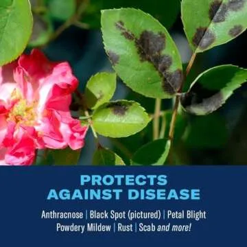BioAdvanced 701287A 3 in 1 Insect, Disease, and Mite Control for Plants, 32 Ounce, Ready-to-Spray (Packaging may vary)
