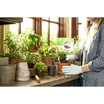 Miracle-Gro Indoor Potting Mix, Blended for a Variety of Houseplants, Feeds for up to 6 Months, 6 qt.