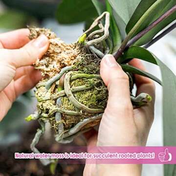 Legigo 14OZ Premium Sphagnum Moss for Plants- 16QT Natural Succulent Carnivorous Plant Moss Dried, Long Fiber Orchid Moss for Orchid Repotting Succulent Sarracenia Potted Plants Gardening and Reptiles