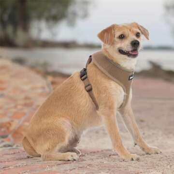 Best Pet Supplies Voyager No Pull Dog Harness for Active Dogs
