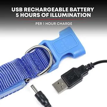 ILLUMISEEN LED Dog Collar USB Rechargeable - Bright & High Visibility Lighted Glow Collar for Pet Night Walking - Weatherproof, in 6 Colors & 6 Sizes (Blue Medium)