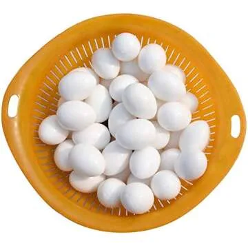 Huwaimi Dummy Pigeon Eggs for Breeding Pigeons 10pcs