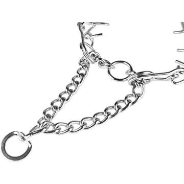 Darkyazi Durable Pinch Collar Stainless Steel Dog Adjustable Pet Training Collar for Medium Large Dogs (Medium (Pack of 1), Silver)