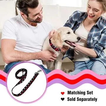 Native Pup Valentine’s Dog Collar- Valentines Day Pet Collars- Valentine Girly Hearts- Pink Red Heart- Cute Boy Girl Puppy Gift- Adjustable for Small, Medium, Large Breeds (White & Red Hearts, Medium)