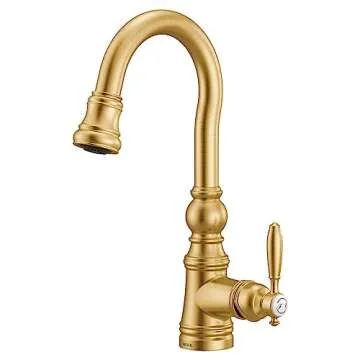 Stylish Moen Weymouth Kitchen Faucet with Power Clean