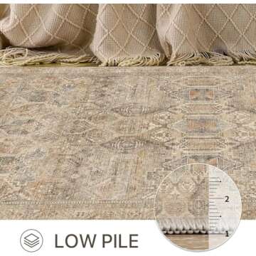 Bavni 2x3 Vintage Washable Rug Non-Slip Lightweight Style