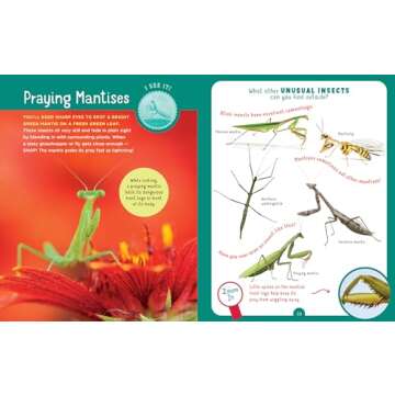 Backpack Explorer: Bug Hunt: What Will You Find?