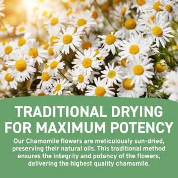 HANDPICK, Chamomile Tea Bags (100 Count) Caffeine Free, Eco-conscious Tea Bags | Premium Natural Chamomile Flower Herbal Tea