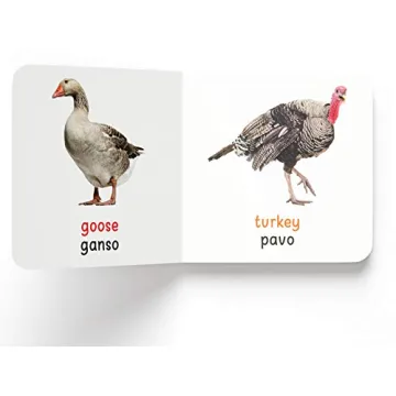 My First English - Español Learning Library for Kids