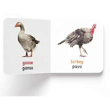 My First English - Español Learning Library for Kids