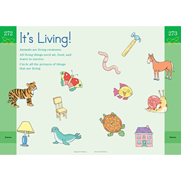 Brain Quest Pre-K Workbook: Fun Learning for Kids