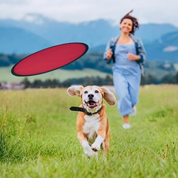 Mototo 30 Foldable Flying Disc Fans - Fun for All Ages!