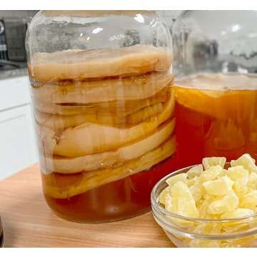 Cultures for Health Kombucha SCOBY Starter for Endless Brews