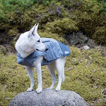Weatherproof Dog Coat with Thinsulate for Cold Weather