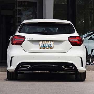 2Pcs Rainbow Retro License Plate Frames Cover Holders Stainless Steel Rainbow Retro License Plate Cover with Screw Caps Cover and Screwdriver Set - 2-Hole for Girl Women (Rainbow Retro)